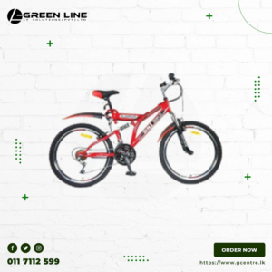 DSI 24 Inch Dual Suspension 21 Speed Dual Disk Brake Bicycle